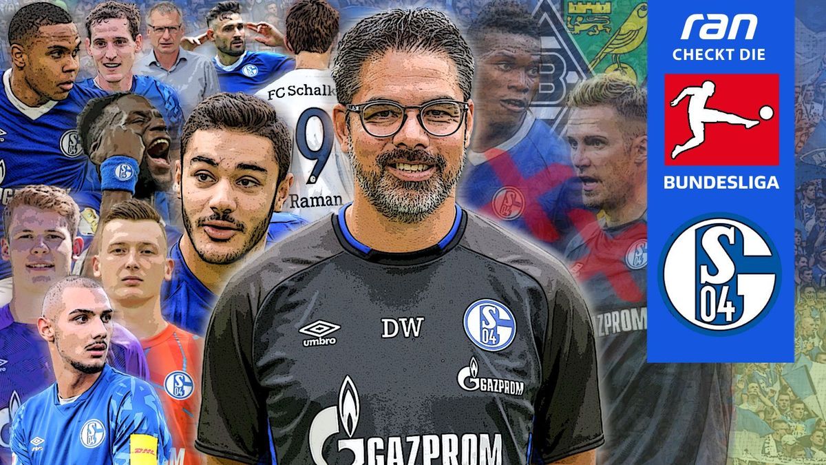 FC Schalke 04 im ran-Check