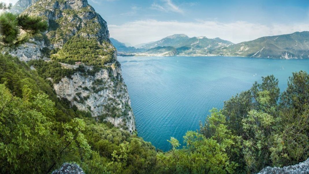 Die ungewöhnlich hohen Temperaturen gefallen einem gefährlichen Schädling: Am Gardasee breitet sich die Palmenmotte aus.