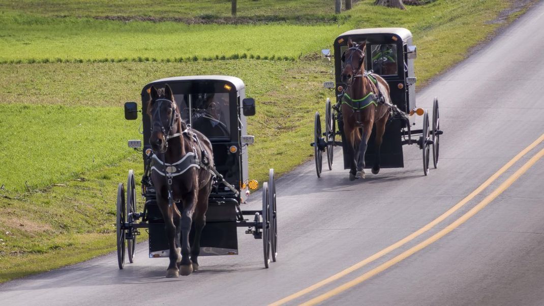 Das traditionelle Fortbewegungsmittel der Amish: Pferdekutschen.