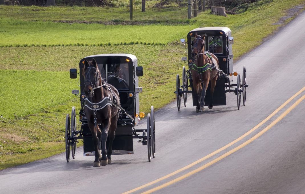 Das traditionelle Fortbewegungsmittel der Amish: Pferdekutschen.