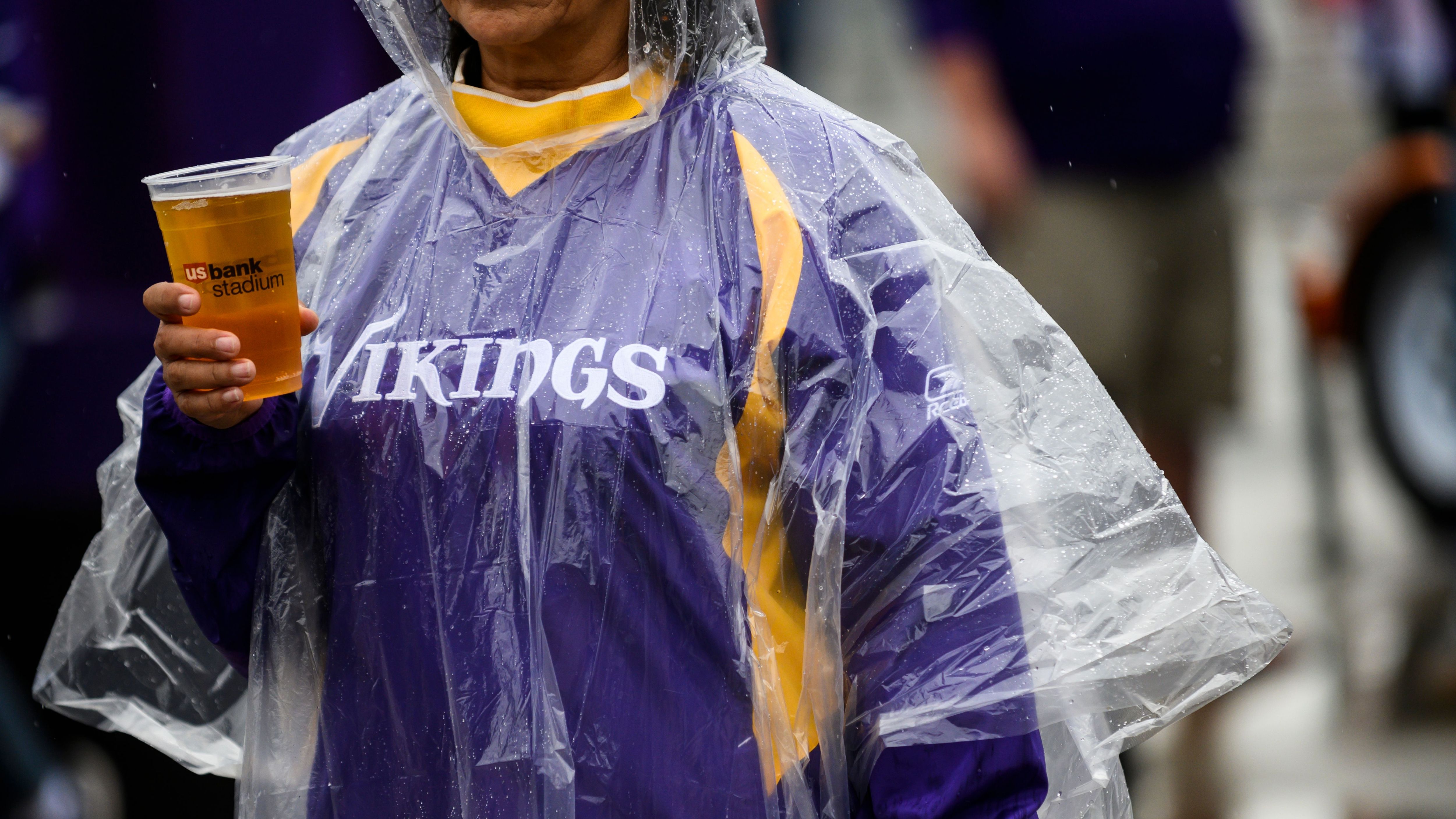 <strong>Minnesota Vikings</strong><br>8,00 US-Dollar