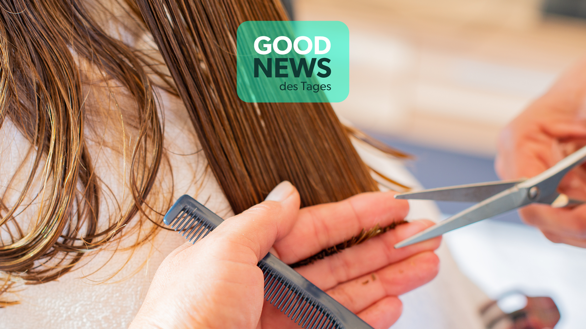 Good News des Tages: Haare sollen See säubern