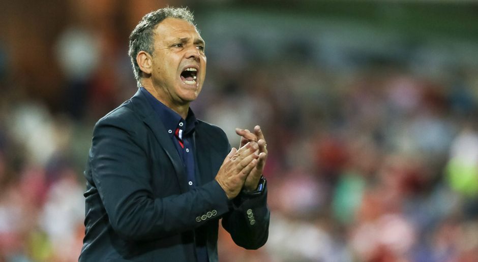 
                <strong>Joaquin Caparros</strong><br>
                Joaquin Caparros: Der 60-Jährige stand zuletzt beim FC Granada unter Vertrag, ist aber seit Januar 2016 vereinslos. Neben seinem Job als Trainer versuchte sich Caparros auch schon als Buchautor. Eine Berufung als Nationalcoach wäre für den Spanier ein großer Sprung auf der Karriereleiter. Ob er sich mit seinen vorherigen Stationen in Spanien bei UD Levante, RCD Mallorca, Athletic Bilbao oder eben zuletzt in Granada dafür empfehlen konnte? Die spanische Sportzeitung "Marca" erklärt ihn zum aktuellen Favoriten.
              