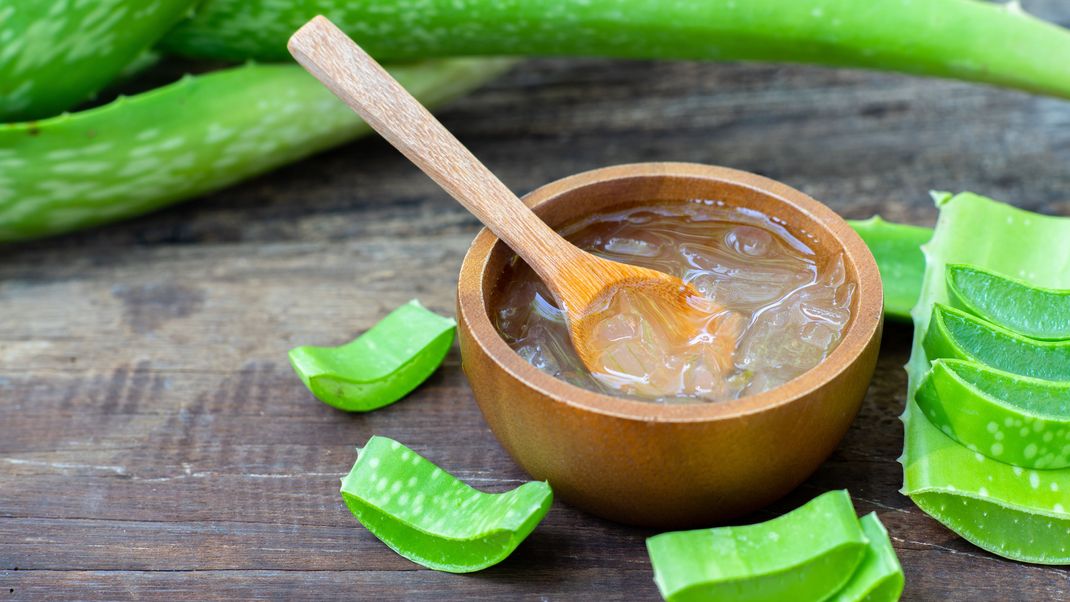 Aloe vera kann bei den Symptomen einer Sonnenallergie für Linderung sorgen.