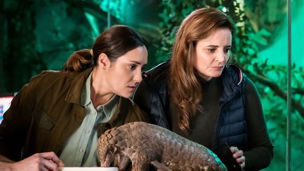 Das macht "Tierärztin Dr. Mertens"-Star Neshe Demir nach dem Serien-Aus