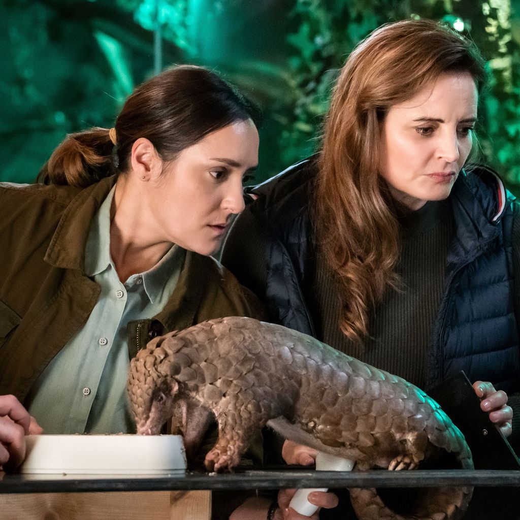 Das macht "Tierärztin Dr. Mertens"-Star Neshe Demir nach dem Serien-Aus