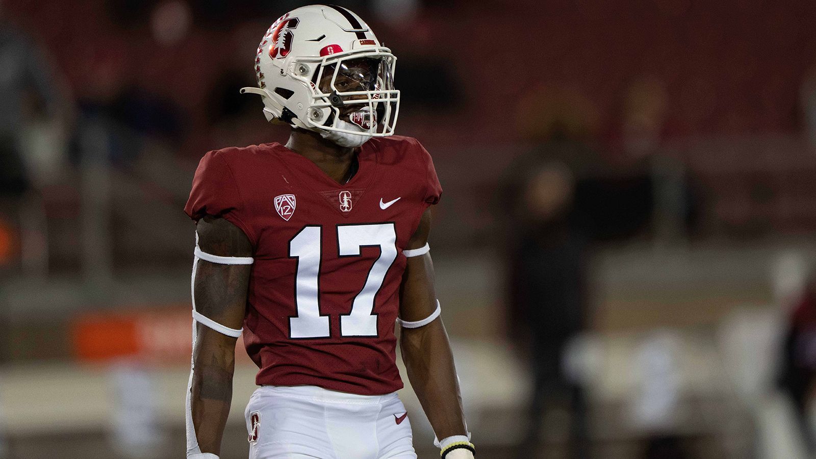 <strong>Kyu Blu Kelly (Cornerback, Las Vegas Raiders)</strong><br>
                Viel mitgegeben hat auch Brian Kelly seinem Sohn&nbsp;Kyu Blu Kelly. Brian spielte ganz elf Saisons lang in der NFL, hauptsächlich für die Tampa Bay Buccaneers. Druck wegen seines Namens verspürte Kyu Blu Kelly nicht wirklich: "Ich habe es angenommen. Es war nicht zu viel Druck. Ich war froh, dass ich ein solches Vorbild in meinem Leben hatte", wird der 23-Jährige zitiert.
