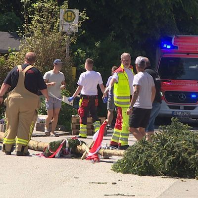 Maibaum kippt um - mehrere Verletzte