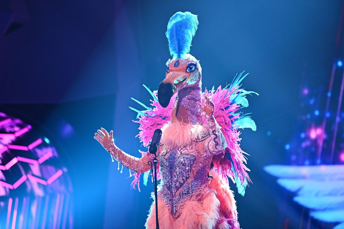 Der Flamingo