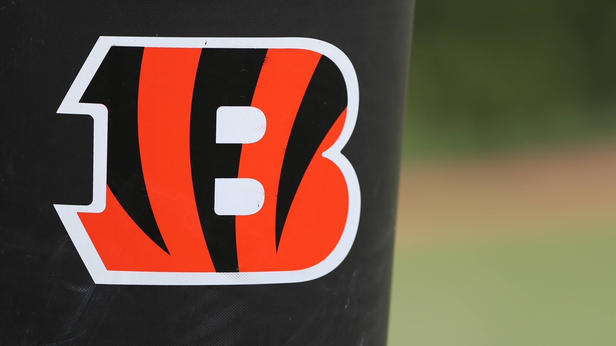 
                <strong>Cincinnati Bengals: Pete Johnson</strong><br>
                Erzielte Touchdowns: 70Position: Running Back/Full Back
              
