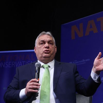 EU-ELECTION/NATIONAL CONSERVATIVES