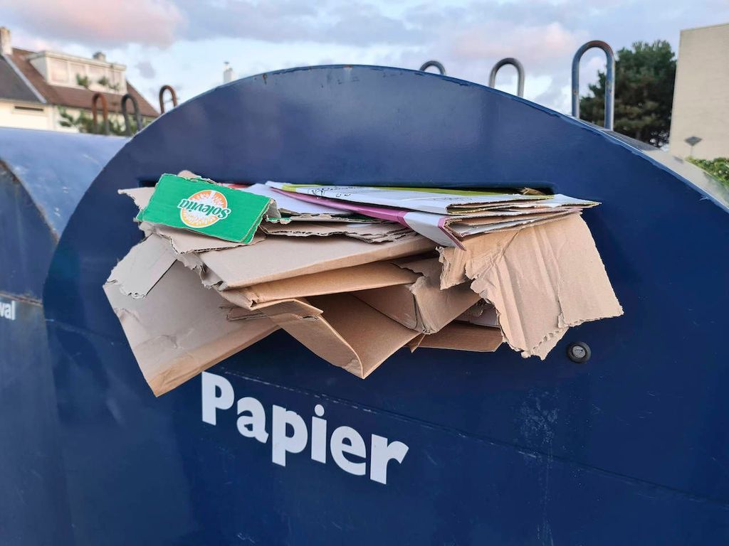 Altpapier So recycelst du richtig