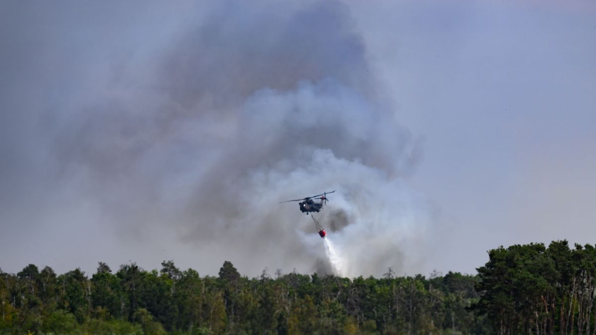 Waldbrand in der Gohrischheide