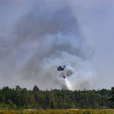 Waldbrand in der Gohrischheide
