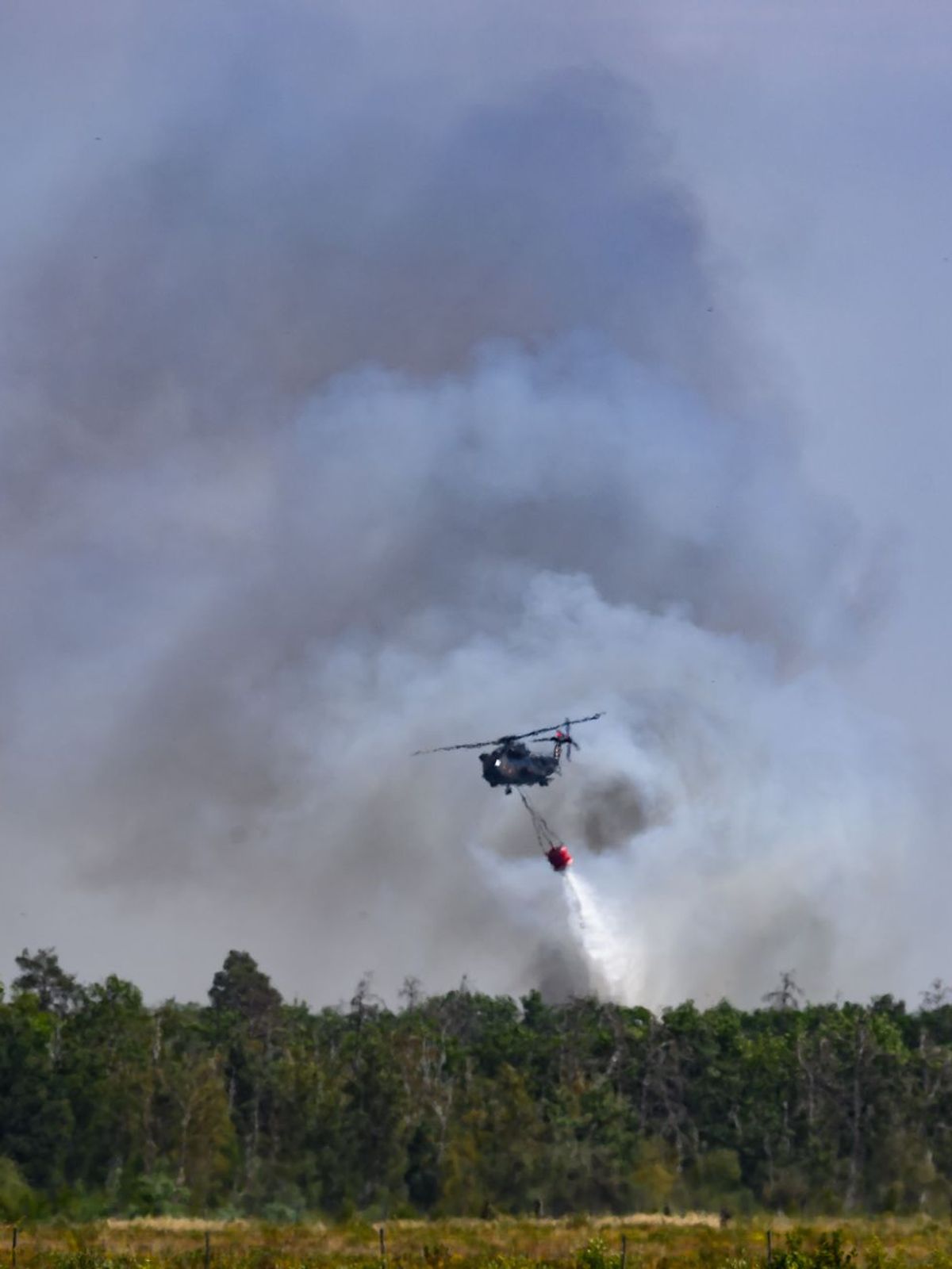 Waldbrand in der Gohrischheide