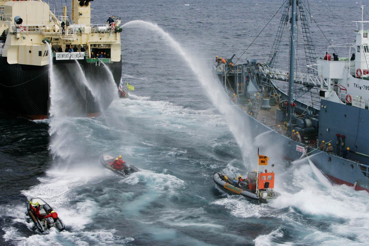 Immer wieder hindern Greenpeace-Boote riesige Schiffe daran, Wale aus dem Meer zu fischen. So wie hier vor der japanischen Küste 2005.