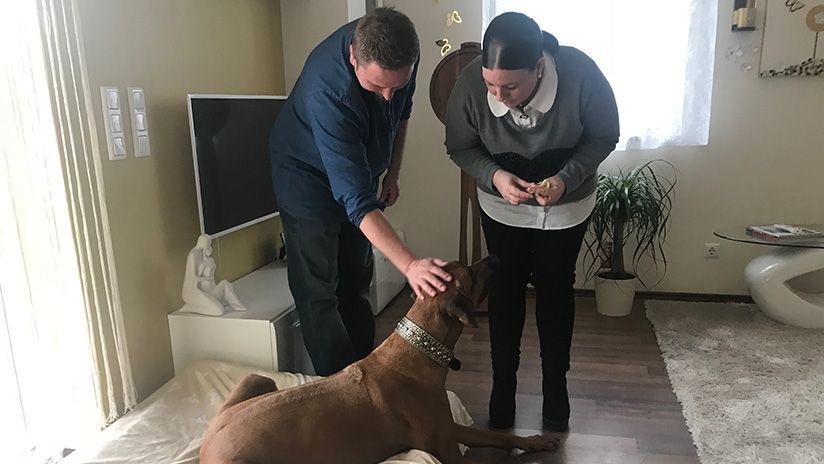 Das Paar Gaugl- Hollerer aus Großsulz gab ihren geliebten Hund Bahari für ein paar Tage in eine Tierpension. Zurückgekommen ist der Rüde mit schweren Verletzungen an den Beinen.