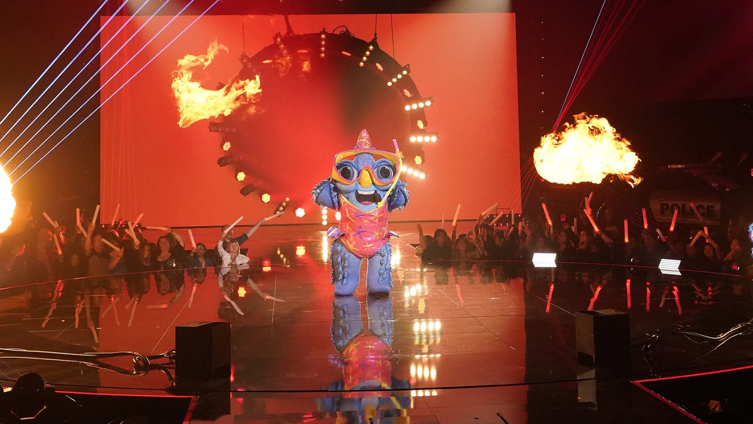 "The Masked Singer" Diese "Highschool Musical"Schauspielerin hat die