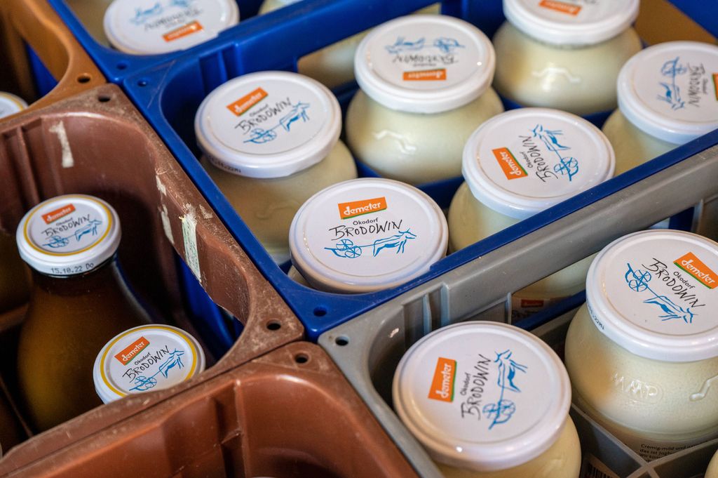 Rückruf auch in Edeka-Filialen: Joghurt kann Glassplitter enthalten