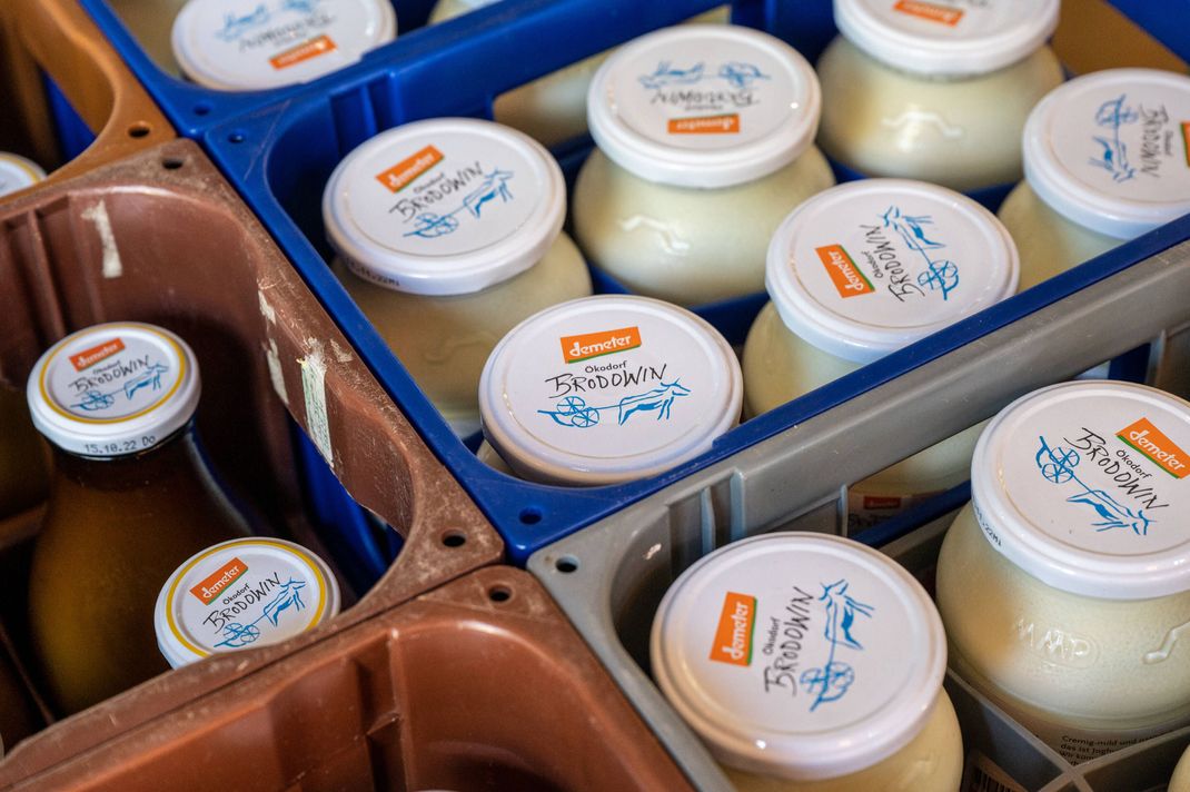 Überprüfen Sie besser, ob ihr Demeter-Joghurt vom Rückruf betroffen ist.