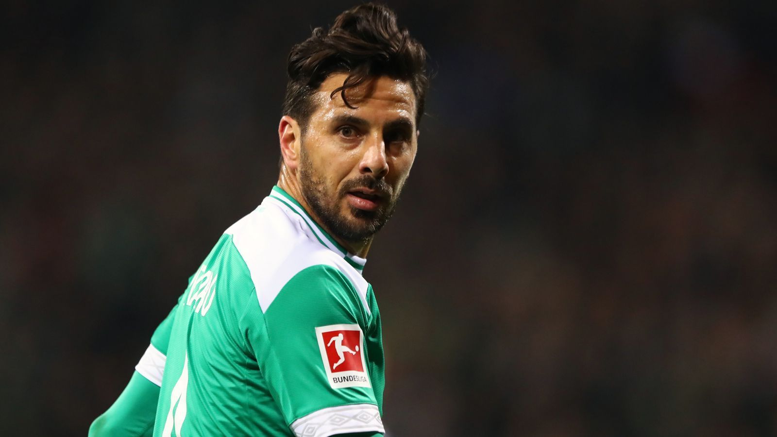 
                <strong>Platz 6 - Claudio Pizarro</strong><br>
                Bundesliga-Siege: 239Bundesliga-Spiele: 458Bundesliga-Tore: 194In der Bundesliga aktiv für: SV Werder Bremen, 1. FC Köln, FC Bayern München
              