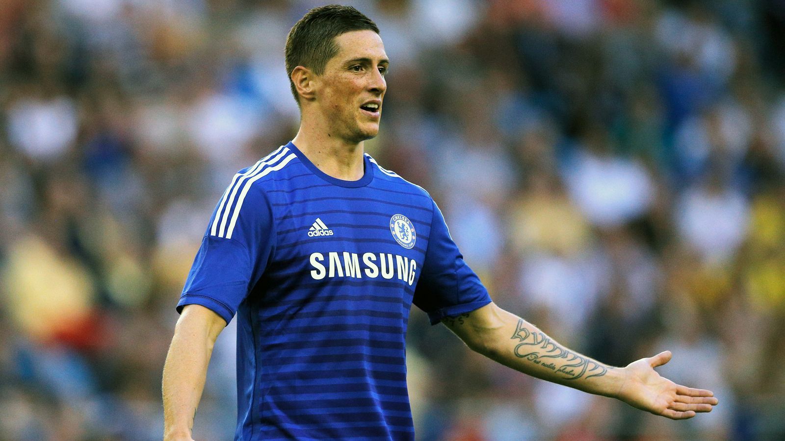 
                <strong>Platz 10 - Fernando Torres (FC Chelsea)</strong><br>
                &#x2022; Ablösesumme: 130 Millionen Euro<br>&#x2022; Wechsel vom FC Liverpool zum FC Chelsea (2011)<br>
              
