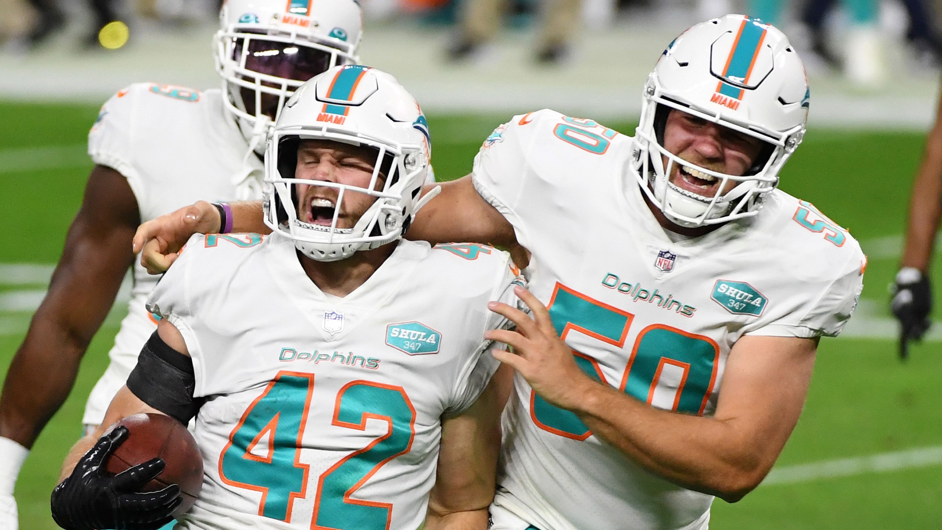 
                <strong>Platz 9: Miami Dolphins</strong><br>
                Playoff-Teilnahmen seit 1970: 23Playoff-Wahrscheinlichkeit: 45,1 Prozent
              