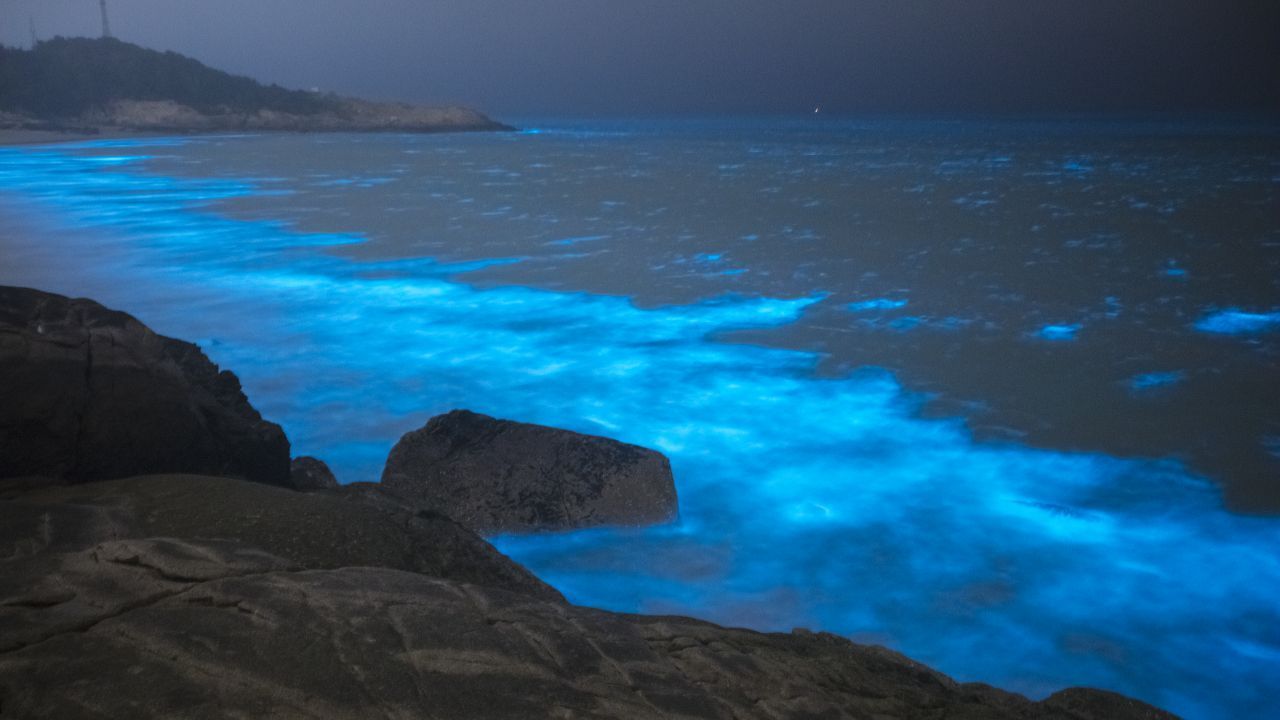 Glitzerstrand. In Fuzhou (China) sorgt ein seltenes Naturphänomen für atemberaubende Anblicke. Durch das Wachstum einer einzigartigen Vielfalt von Algen funkelt das Wasser.