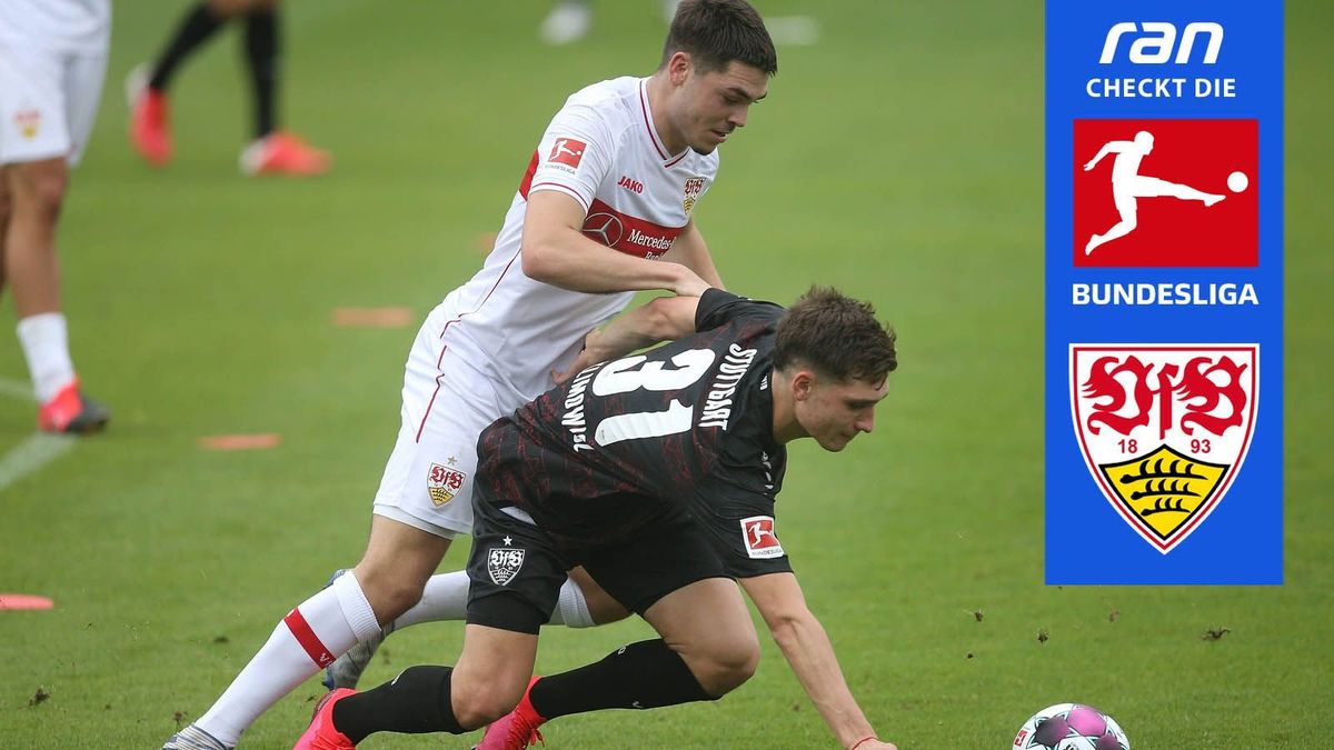 VfB-Check