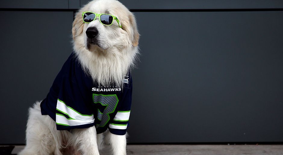 
                <strong>10 Dinge, die wahrscheinlicher sind als ein HSV-Sieg gegen BVB</strong><br>
                Der ran-Hund wählt endlich mal nicht die Seahawks als NFL-Livespiel aus.
              