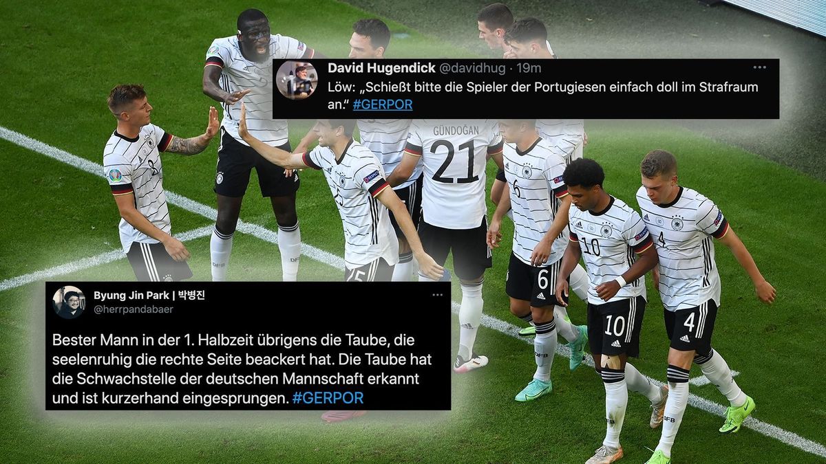 Netzreaktionen