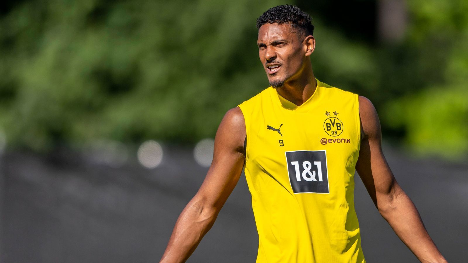 
                <strong>Sebastien Haller</strong><br>
                Natürlich ist bei Sebastien Haller fraglich, wann er nach der schockierenden Hodenkrebs-Diagnose wieder auf dem Platz stehen kann. Sollte der Ivorer allerdings in naher Zukunft zurückkehren, darf er sich durchaus Chancen auf die Kanone ausrechnen. Mit Ajax kam Dortmunds Neuzugang in der vergangenen Spielzeit auf 21 Liga-Tore - liefert der 28-Jährige bei seiner Bundesliga-Rückkehr erneut ab?
              