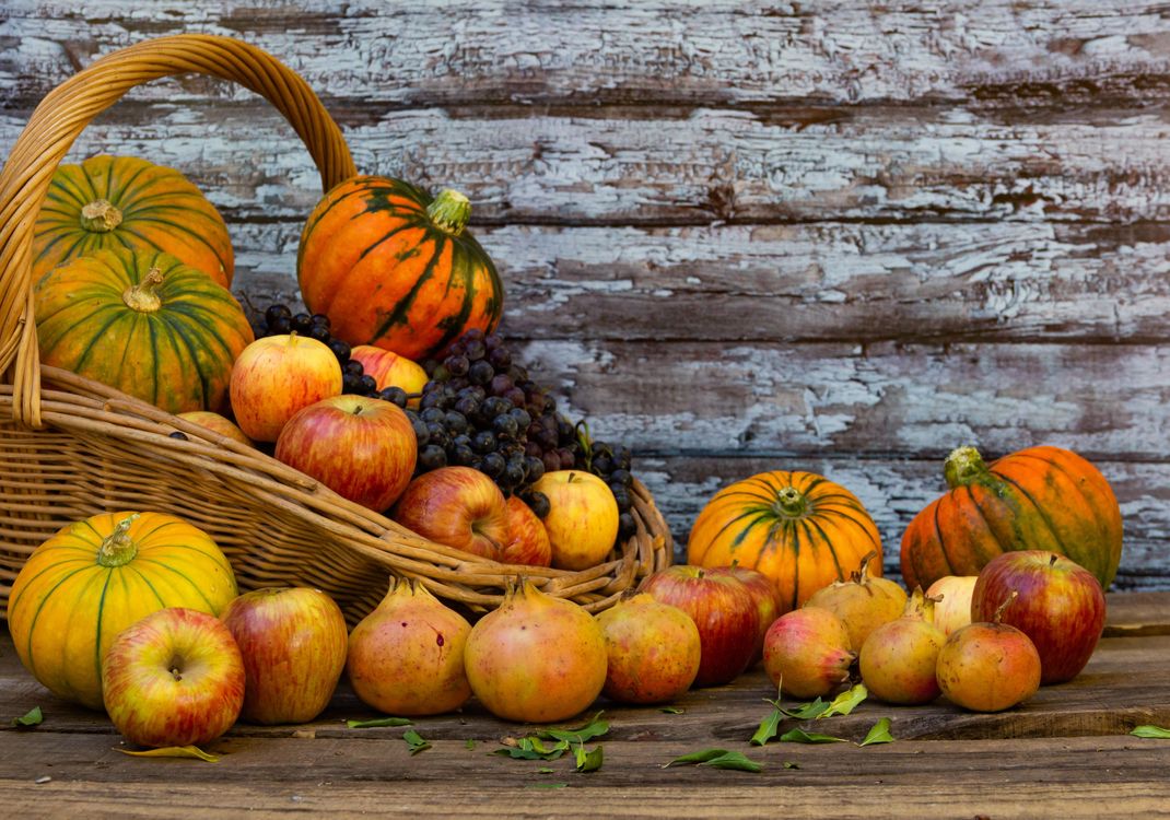 Herbstzeit ist Gemüsezeit