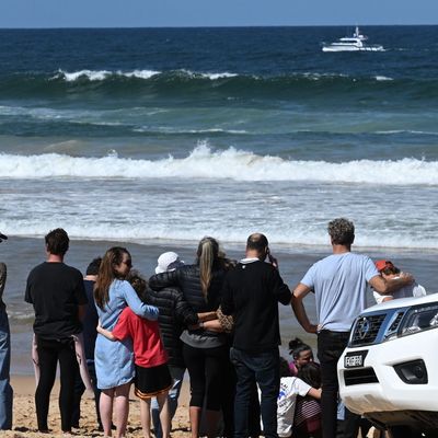 Tödlicher Hai-Angriff in Sydney