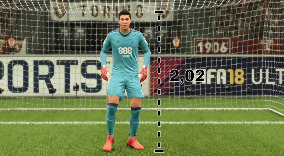 
                <strong>Costel Pantilimon – Nottingham Forest</strong><br>
                Größe: 2,02 Meter
              