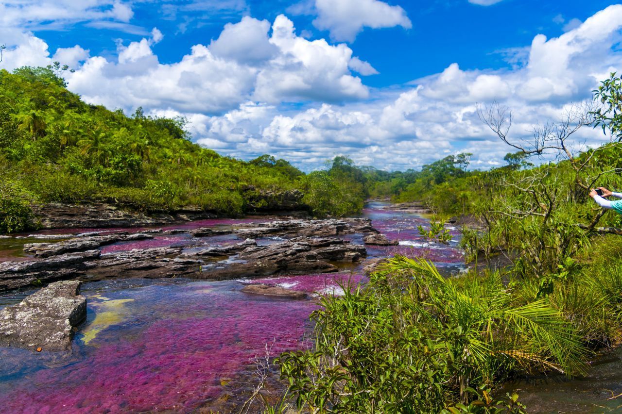Caño Cristales, Kolumbien: Der Fluss schlängelt sich durch den Nationalpark Serranía de la Macarena. Der Pflanzenwuchs am Grund schimmert (je nach Sonnen- und Wasserstand) in verschiedenen Farben. Und so wurde der Fluss zum "Rainbow River". 