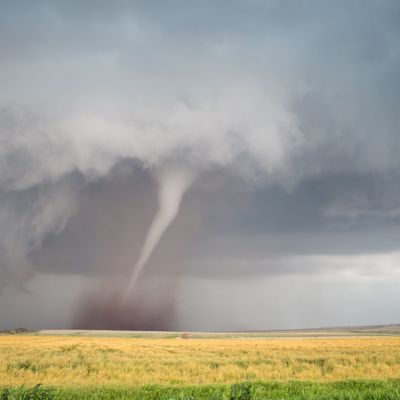 A thin cone tornado spins over the open landscape of the Great Plains.