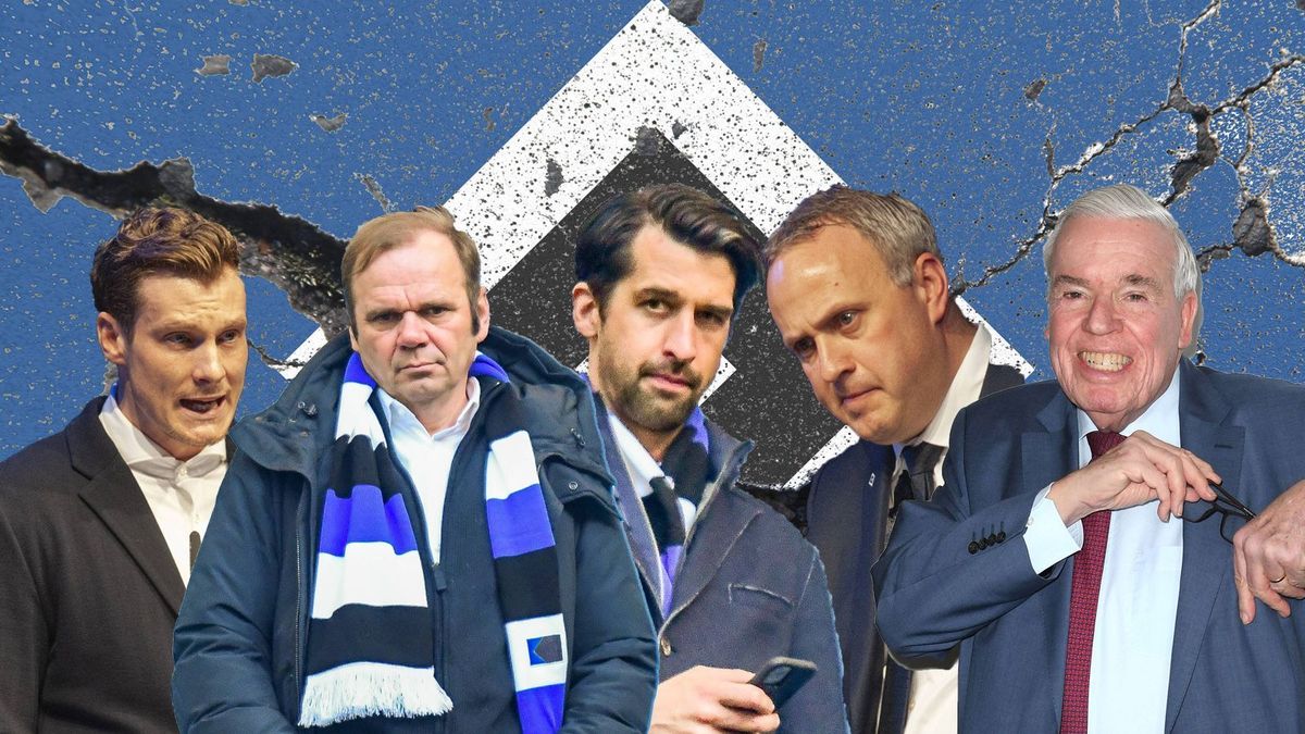 HSV Führung Chaos