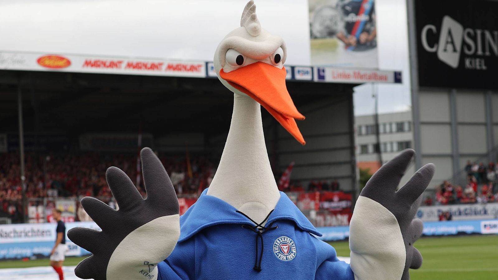 
                <strong>Holstein Kiel</strong><br>
                Bereits in der frühen Zeit der KSV Holstein trugen die Spieler stets die Vereinsfarben Blau, Weiß und Rot. Da das die Bewohner der Stadt an eine Montur eines Storchs erinnerte, wurden die Kieler fortan die Störche genannt. Bei so viel Tradition des Spitznamens kommt man nicht um Kiel Storks herum.
              