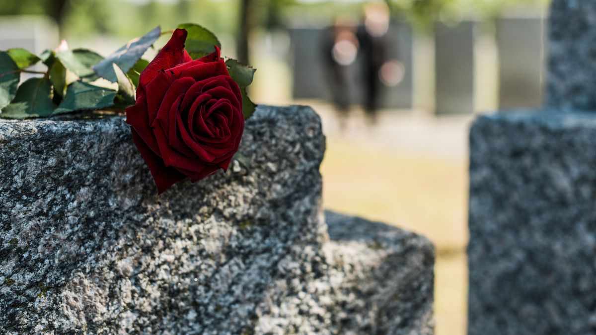 shadows on red aromatic rose on concrete tomb