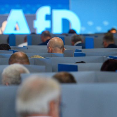 Delegierte der AfD-Europawahlversammlung in Magdeburg