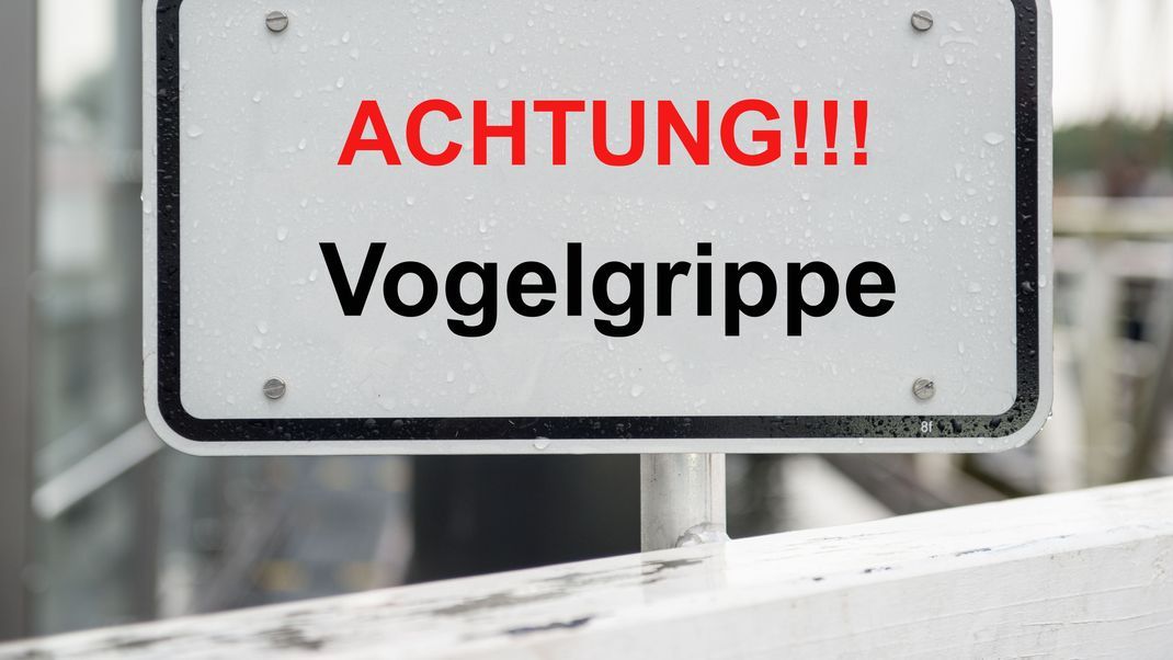 Die Vogelgrippe breitet sich weiter aus.