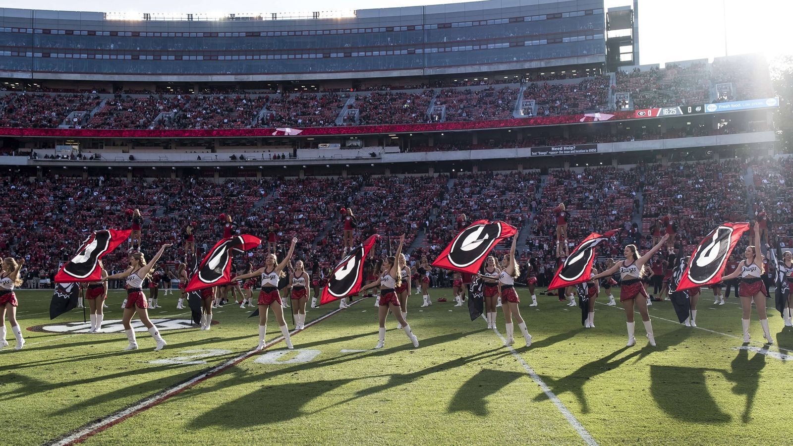 
                <strong>College-Football: Angeberwissen zu South Carolina Gamecocks @ Georgia Bulldogs</strong><br>
                Die College-Football-Saison 2019 geht in die nächste Runde. Diesen Samstag übertragen ProSieben MAXX und ran.de ab 17:45 Uhr live die Partie der South Carolina Gamecocks bei den Georgia Bulldogs. Wir haben das Angeberwissen zur Partie - für alle Football-Nerds und jene, die es werden wollen.
              