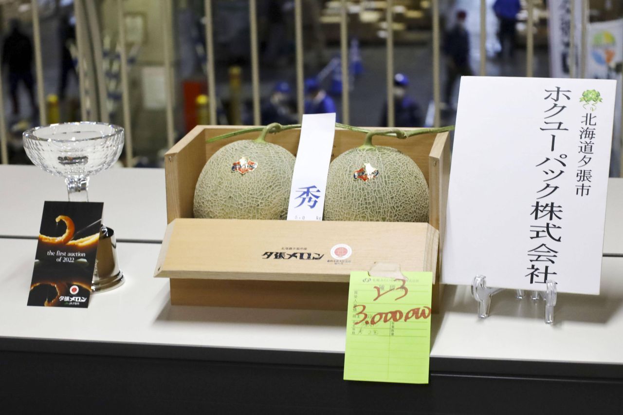 Diese zwei Melonen kosteten um gerechnet rund 22.000 Euro. Typisch ist die T-förmige Antenne - also ein Stück Ast.
