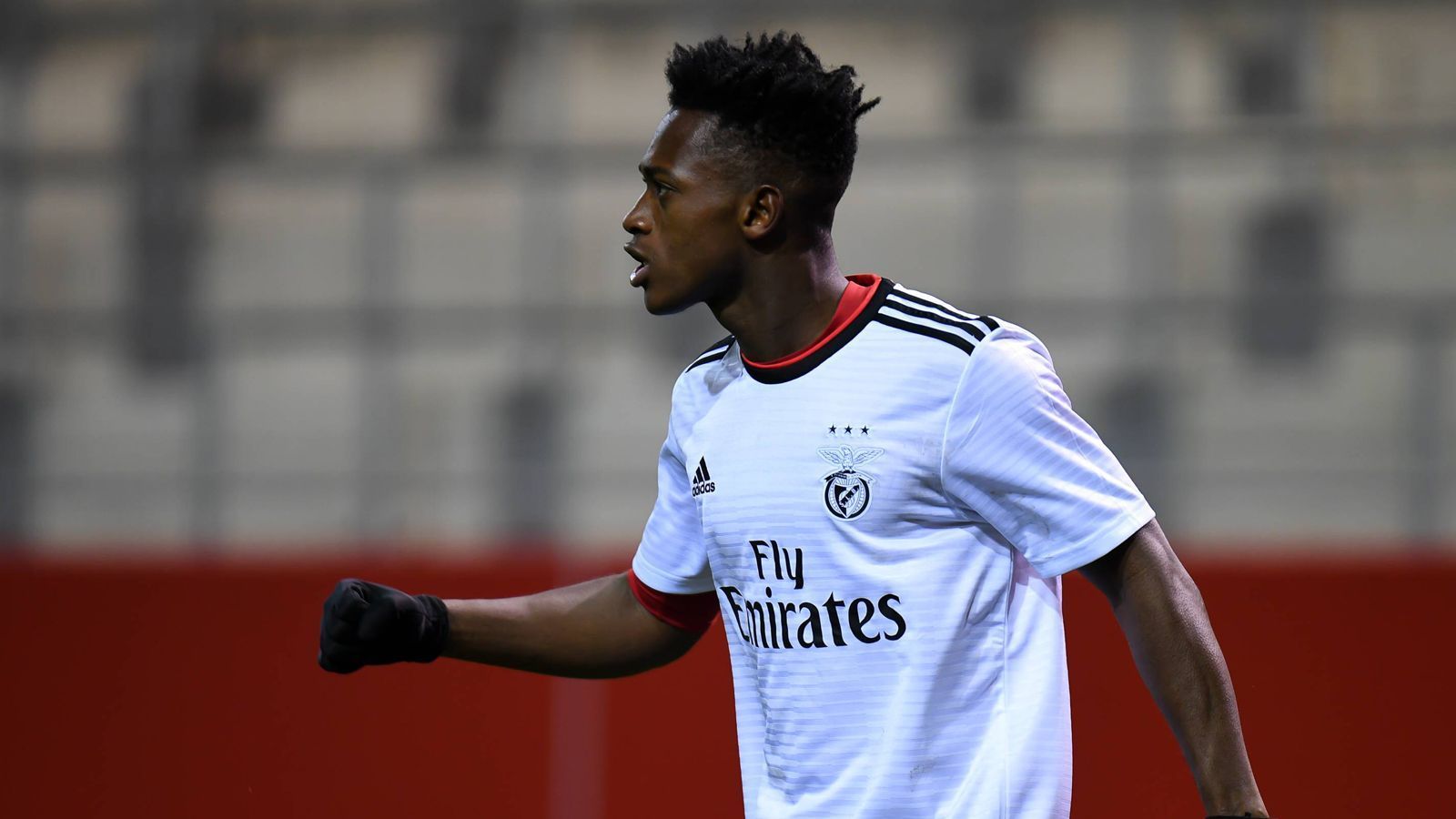 
                <strong>Umaro Embalo (Benfica Lissabon)</strong><br>
                Den Portugiesen beobachtet Leipzig schon seit rund einem Jahr. Allerdings sind sie da nicht die einzigen - fast alle europäischen Topklubs sollen bereits Scouts geschickt haben, um den 17-Jährigen unter die Lupe zu nehmen. Der Flügelstürmer lief mit 16 Jahren bereits für die U19 von Benfica Lissabon auf. Er ist technisch versiert, pfeilschnell und torgefährlich. Im Sommer rief Benfica rund 18 Millionen als Ablösesumme auf, das war allen Interessenten zu viel.
              