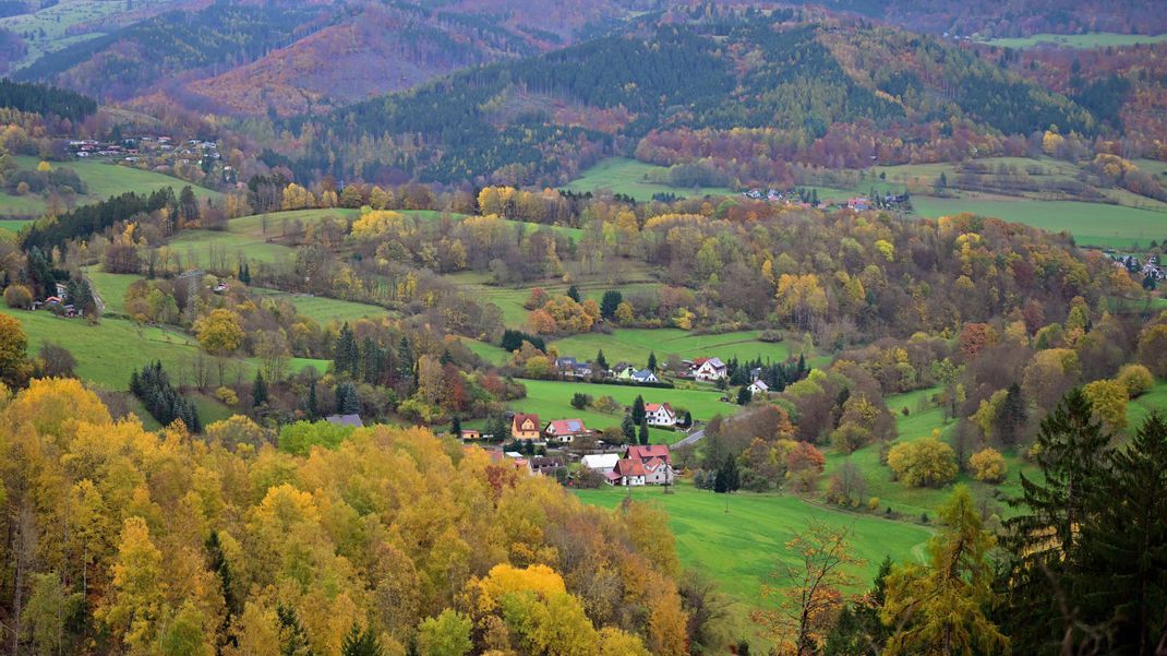 In Zukunft soll es ein Gesetz zur Rettung der Wälder geben. 