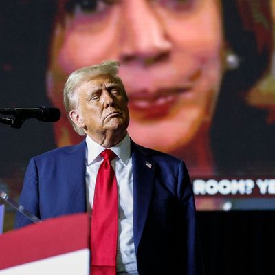 29. Oktober 2024, USA, Allentown: Präsidentschaftskandidat Donald Trump hält eine Rede auf einer Wahlkampfveranstaltung vor einem Video seiner Kontrahentin Kamala Harris.