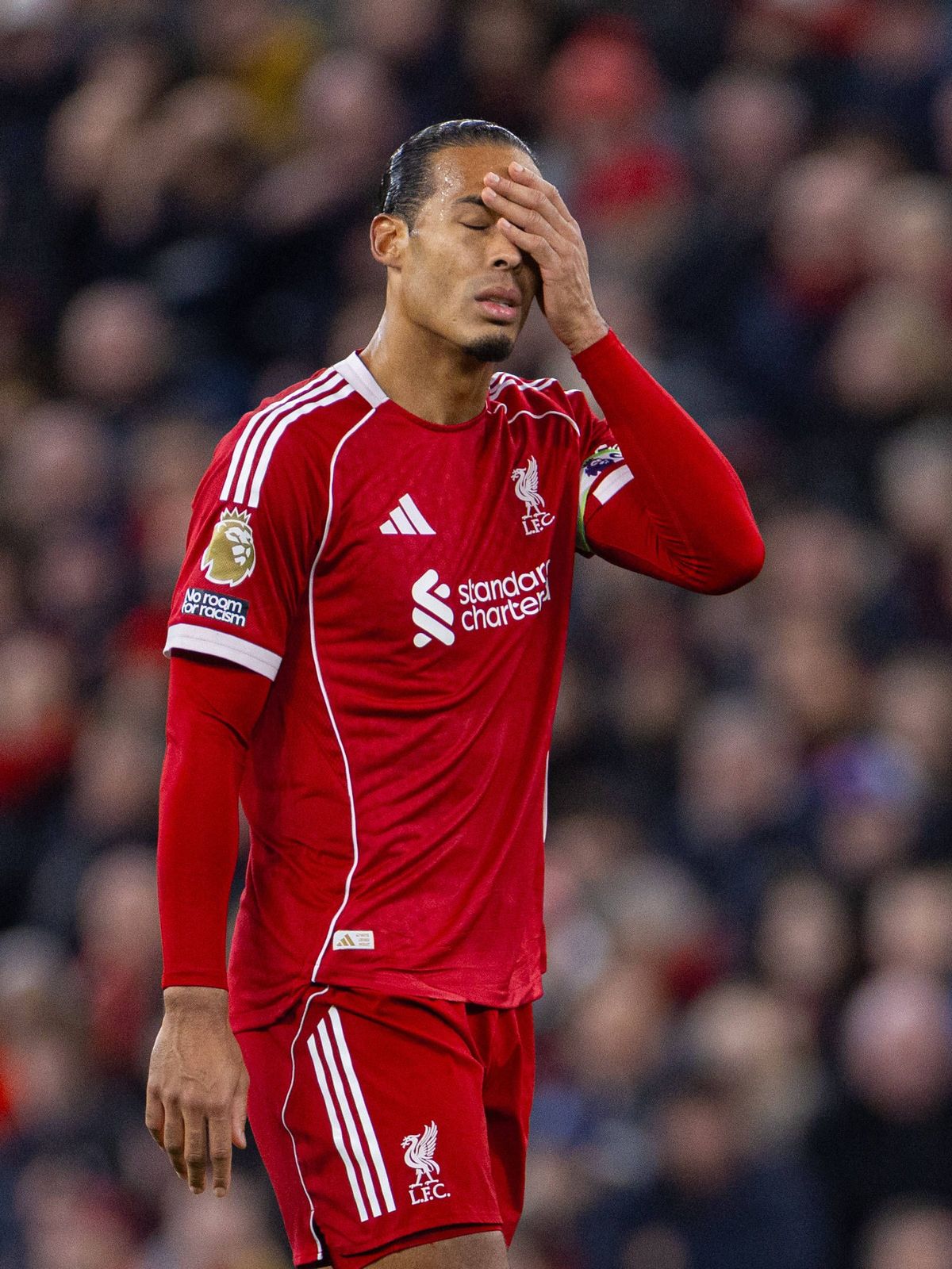 imago images 1069446866