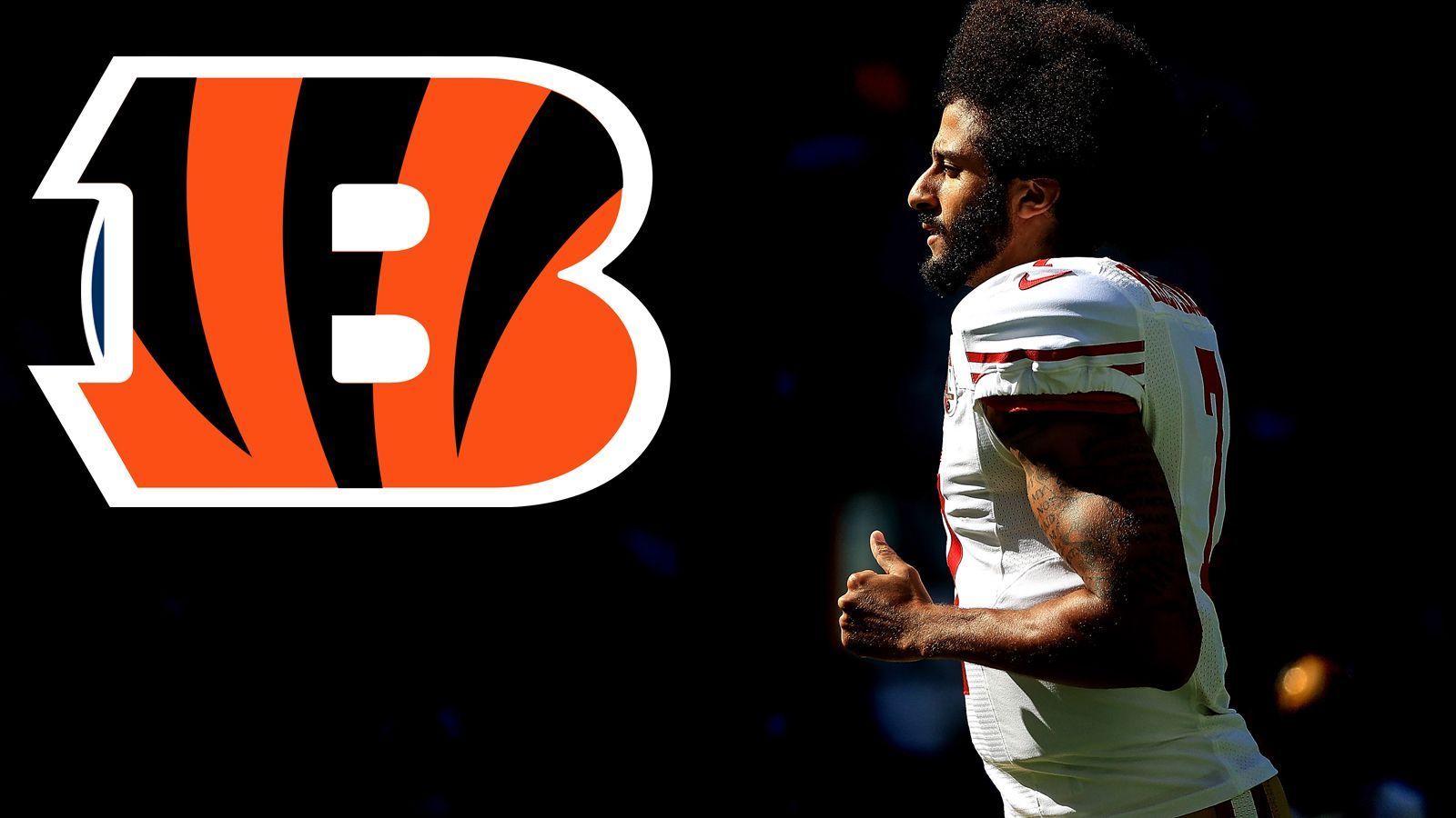 
                <strong>Platz 5: Cincinnati Bengals</strong><br>
                Wettquote: 14:1
              