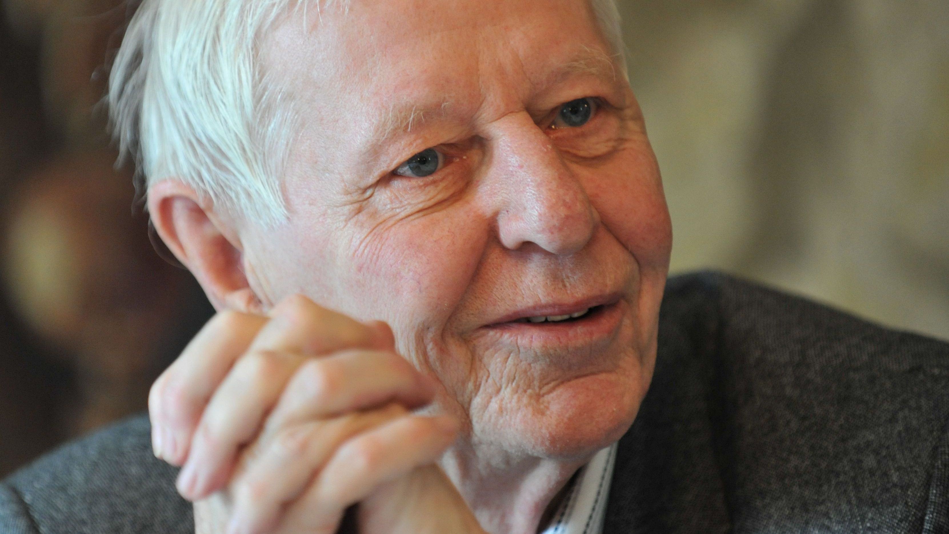 24. November: Hans Magnus Enzensberger (geb. 1929), Schriftsteller und Dichter